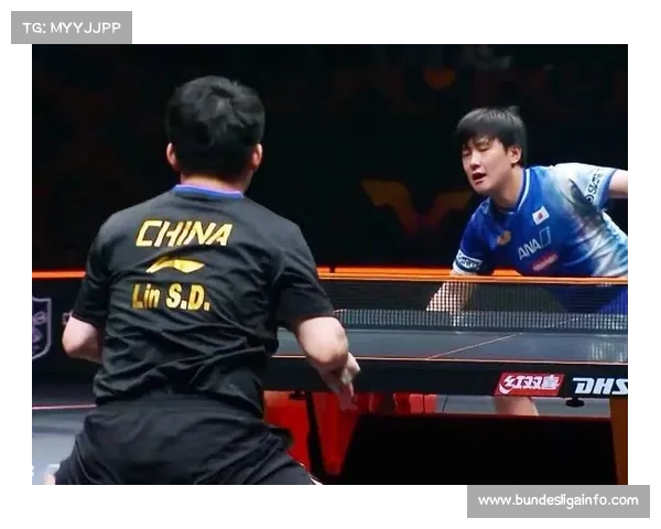 WTT香港总决赛张本智和男单夺冠，连克强敌展现韧性